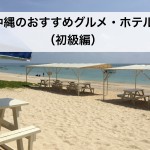沖縄のおすすめグルメ・ホテル・エンタメ（初級編）