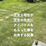 芝生の手入れや拡張方法について、専門家に質問した内容を共有します。