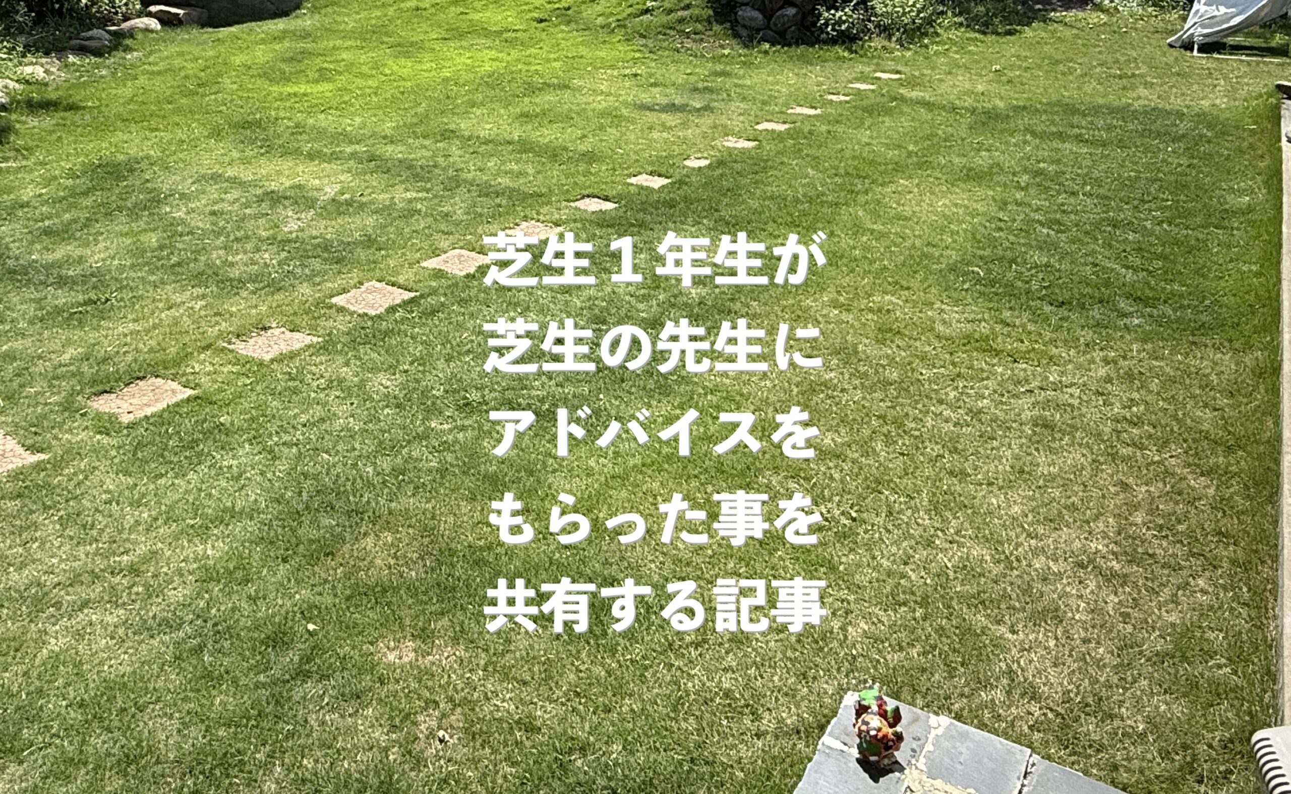 芝生一年生が芝生の先生に教えてもらったことを共有するページ